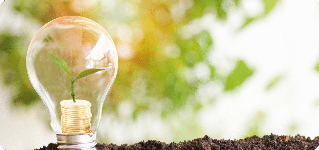 oplata_rejestracyjna_bdo_newsletter_bdo360